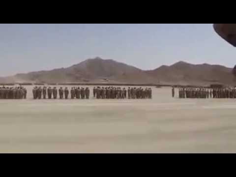 بالفيديو قوة عسكرية ضخمة تستعد لتحرير صنعاء من الحوثيين