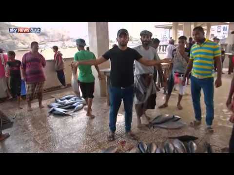 شاهد الحياة تعود إلى طبيعتها تدريجيا في عدن