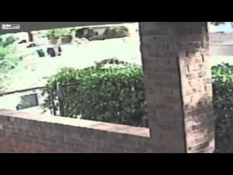 شاهد شاب يطارد لصين بسيارته ويحكم سيطرته عليهما