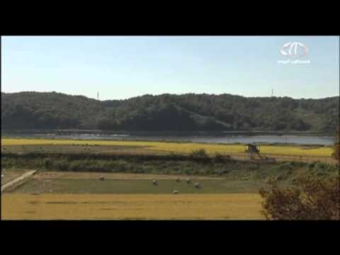 شاهد ارتفاع التوتر على الحدود والكورية