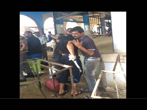 بالفيديو مشادة بواسطة السيوف بين بائعي السمك في المغرب