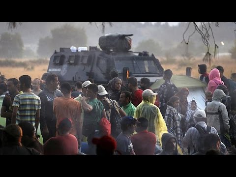 شاهد حركة القطار تستأنف نشاطها بين منطقتي ادوميني وغيفغليا الحدوديتين