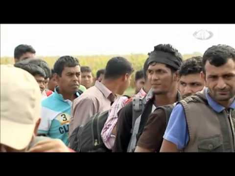 شاهد ارتفاع أعداد المهاجرين غير الشرعيين في أوروبا