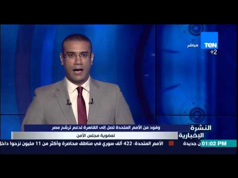 وفود من الأمم المتحدة تدعم ترشح مصر لعضوية مجلس الأمن