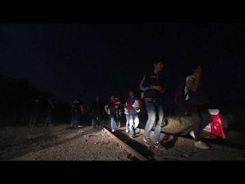 شاهد المجر تُعزز حدودها مع صربيا عبر سياج حدودي شائك