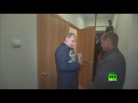 فلاديمير بوتين يداعب قطة