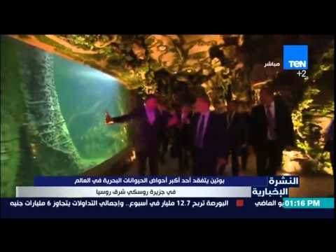 شاهد بوتين يتفقد أحد أكبر أحواض الحيوانات البحرية في العالم