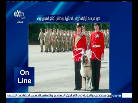 ‎‎‎شاهد مراسم ترقيه خروف في الجيش البريطاني