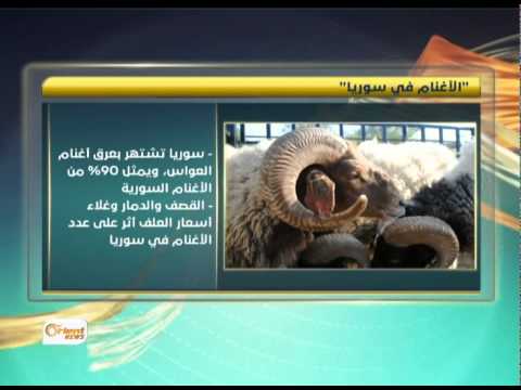 أحمد طعمة يؤكد أن تركيا تدعم الحكومة المؤقتة بالقمح والوقود