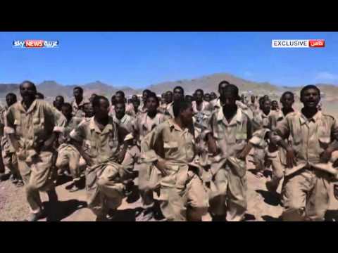 بالفيديو تدريبات الجيش اليمني استعدادًا لتحريرها