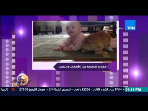 بالفيديو معركة ضاحكة بين الكلاب والأطفال