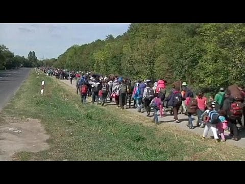 شاهد تواصل تدفق اللاجئين إلى كرواتيا والمجر