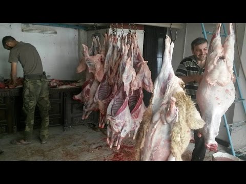 شاهد فريق تطوعي يحي فرحة العيد بين فقراء الغوطة