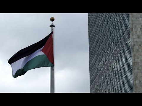 بالفيديو لحظة رفع علم فلسطين أمام مقر الأمم المتحدة