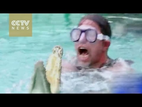 شاهد أميركي يصطاد تمساحا بيديه فقط