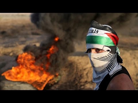 شاهد حصيلة الضحايا الفلسطينيين ترتفع إلى 43 قتيلا