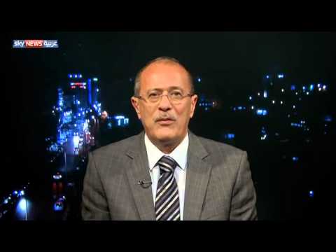 أكاديمي يؤكد أن من حق الفلسطينيين طلب الحماية الدولية