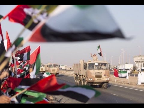 تعرف على إنجازات أبطال القوات المسلحة الإماراتية في اليمن