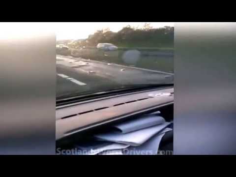 إسكتلندي يفاجئ بمئات الأسماك تسبح على الطريق