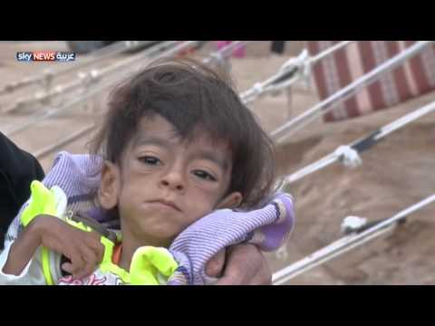 شاهد البرد القارس يداهم النازحين في عامرية الفلوجة