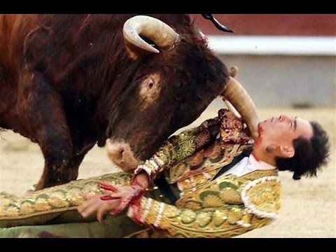 أخطر هجمات مصارعة الثيران