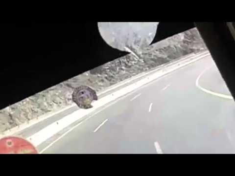 شاهد راكب يُوثِّق انقلاب أتوبيس يحمل مصريين في السعودية