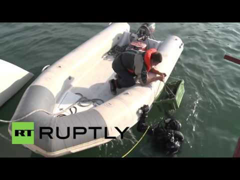 العثور على حقل من الخزفيات القديمة في مضيق كرتش