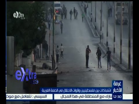 تقرير شامل