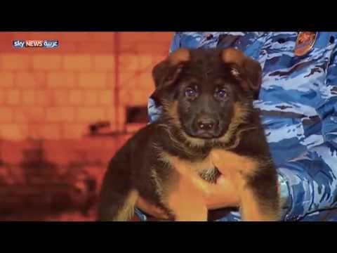 شاهد وزير الخارجية الروسي يتضامن مع نظيره الفرنسي بــ كلب