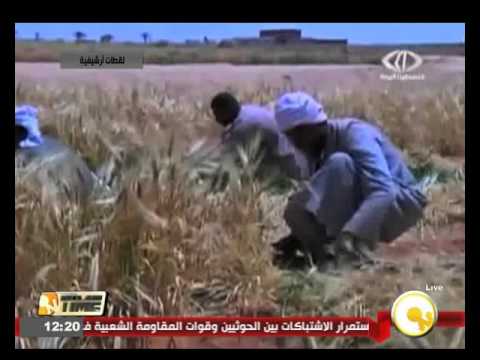 وزير التموين يؤكد أن احتياطي القمح الاستراتيجي يكفي حتى 23 نيسان