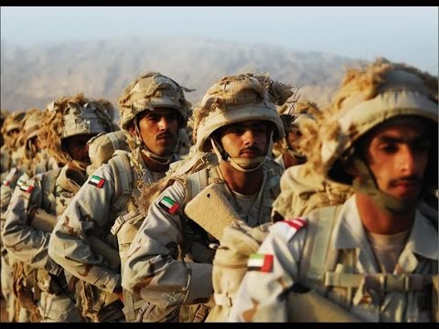 بالفيديو لقاء مع  أسرة الشهيد خميس سلطان