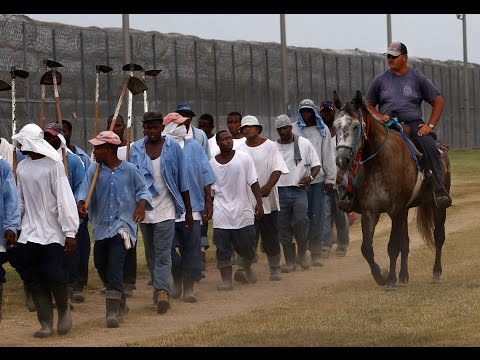 شاهد 312 مليون شخص واقعين في براثن العبودية