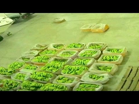 الشرطة الإيطالية تحبط عملية تهريب كوكايين في البندقية