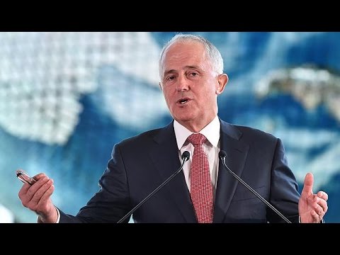 اليابان تعود لصيد الحيتان