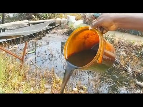 بالفيديو القضاء الهولندي يحكم في نظر دعاوى نيجيرية ضد شل