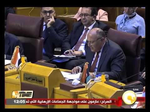 شكري التدخل التركي في العراق انتهاك للسيادة
