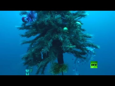 شاهد شجرة عيد رأس السنة في أعماق بحيرة البايكال