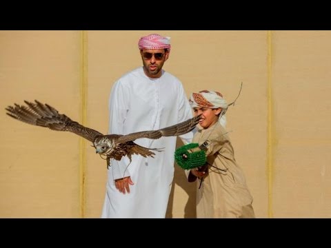 بطولة فزاع للصيد بالصقور التلواح تواصل فعالياتها بأكثر من 500 متسابق