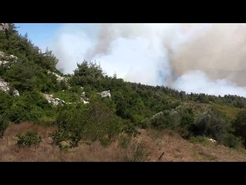 60 قتيلا من قوات الجيش السوري عند مداخل مدينة سلمى في اللاذقية