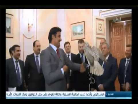 بوتين يهدى صقرًا لأمير قطر بمناسبة زيارته لروسيا