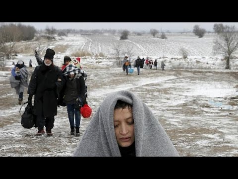 بالفيديو تشاؤم ألمانيا من قرارات النمسا للحد من أزمة الهجرة