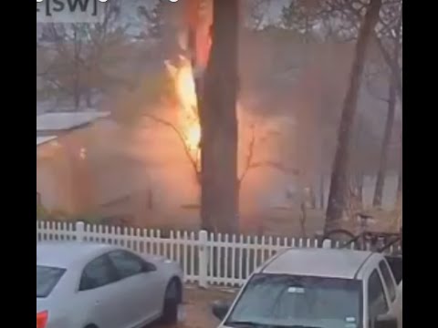 شاهد ماذا حدث لشجرة ضربتها صاعقة قوية