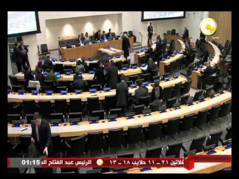 مصر تطالب مجلس الأمن بتحمل مسئوليته تجاه حماية حقوق الشعب الفلسطيني