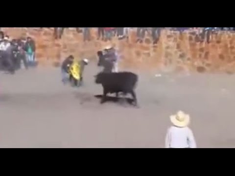 بالفيديو ثور هائج يسحل امرأة داخل حلبة مصارعة