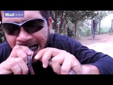 برازيلى يضع عنكبوت “رتيلاء” وخفاش فى فمه