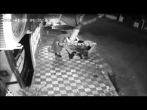 بالفيديو لحظة سرقة أسلاك الهواتف