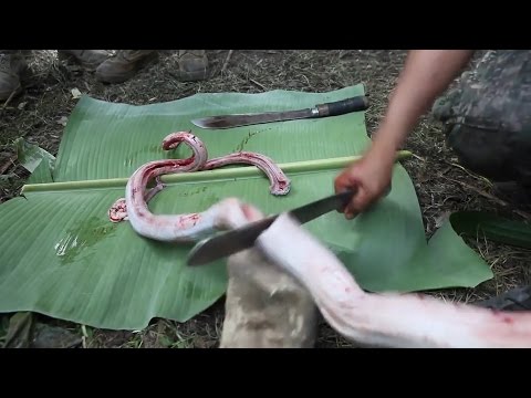شاهد تدريبات جنود المشاة الأميركيين والفلبينيين في الغابة