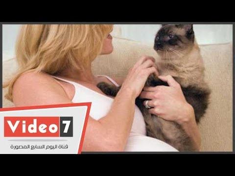 بيطري يحذر محبي القطط احتضانه