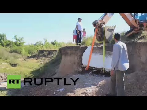 شاهد بيطري يكتشف بقايا متحجرة لمدرع انقرض قبل 10 آلاف عام
