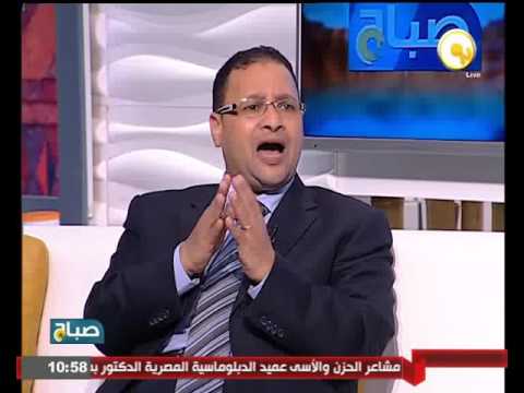 الموقف المصري متوازن من التدخل البري في سورية